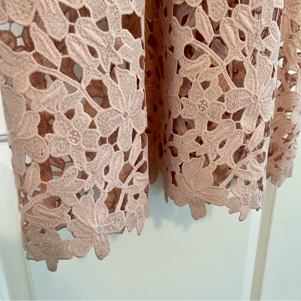 Express Women’s Pale Truffle Pink Floral Lace Midi Dress Size Small Petite - Picture 4 of 11